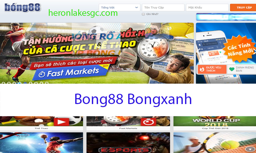 Bong88-bongxanh-mang-đến-tin-cá-cược