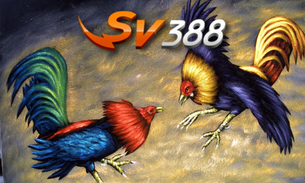 SV388tructiep.com - Review và hướng dẫn tham gia chi tiết nhất